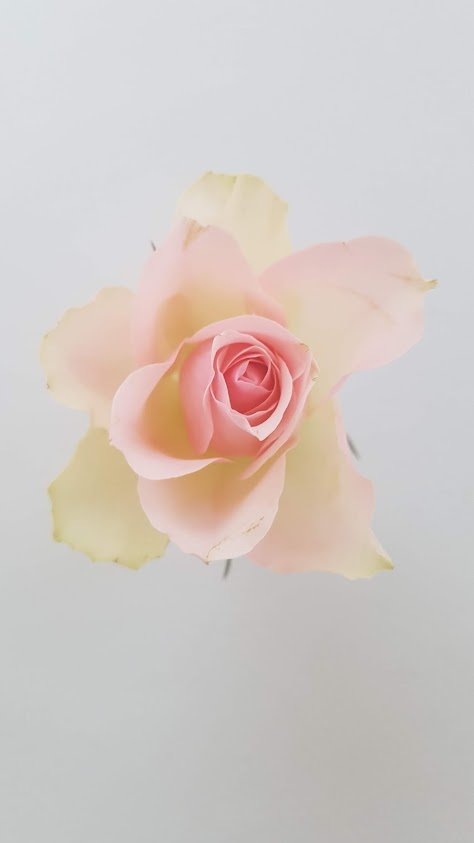 EFFEEDORA - Wedding et Event Planner - île de France - Baptême